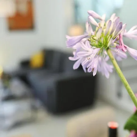 Gaby With Heated Pool * Božava