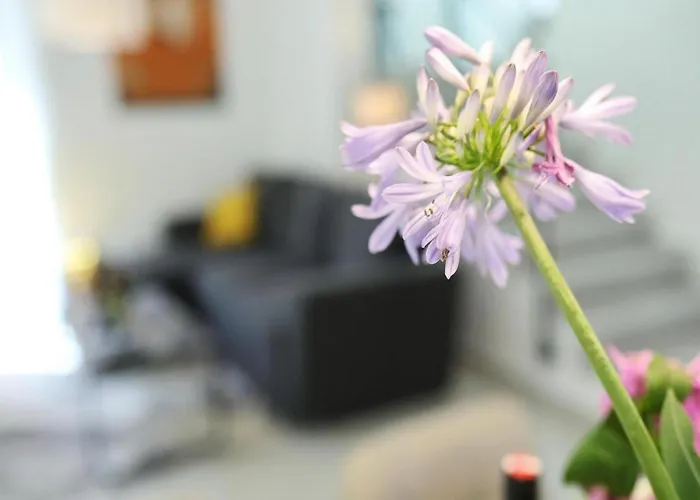 Gaby With Heated Pool * Божава